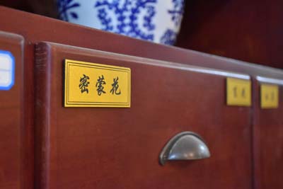 中医石毓斌聊聊预防肺癌吃什么好